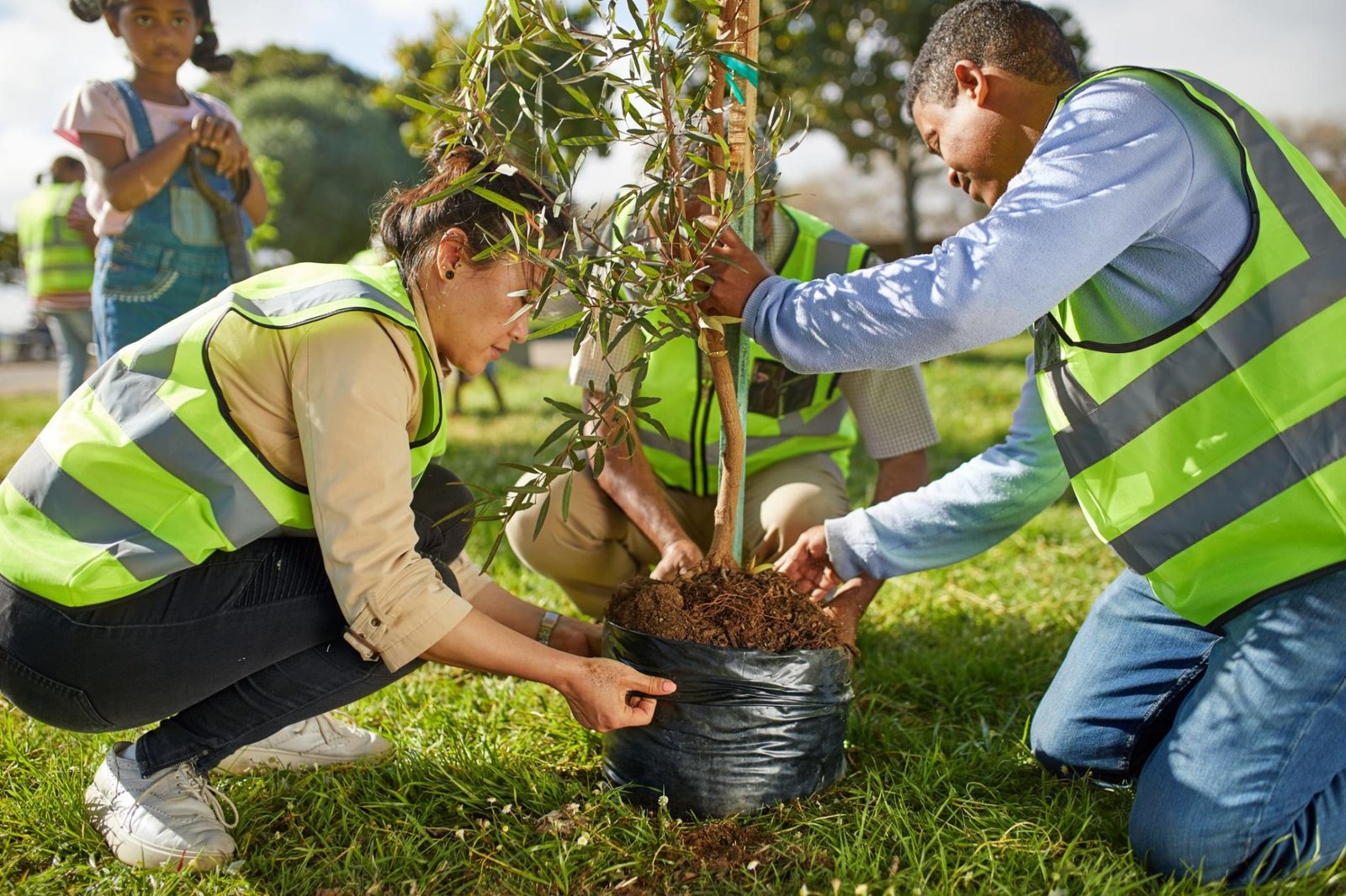 Tree-Planting
